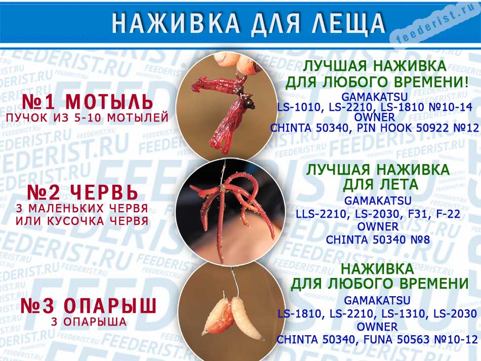 Крупный лещ летом - как, где и чем ловить лещей летом
