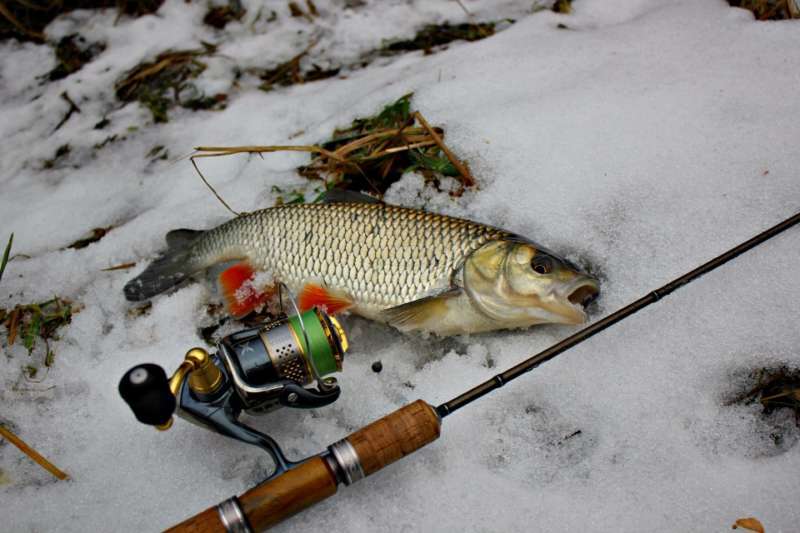 Зимняя рыбалка на малой реке