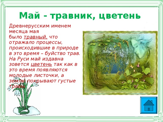 Аквариум с растениями или травник. Выбор, посадка и содержание живых аквариумных растений.