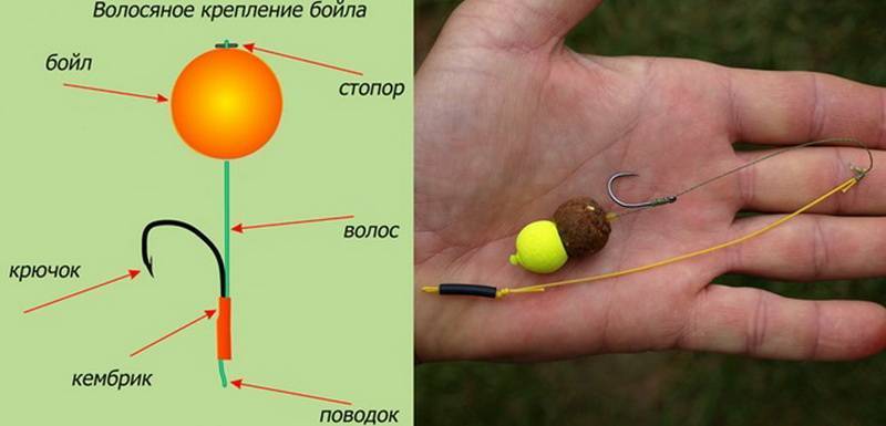 Ловля леща: поиск, приманки, прикормка, способы, советы