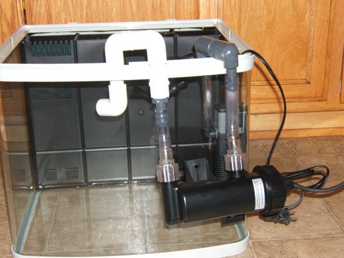 Кварцевая лампа как уф-стерилизатор для аквариумов