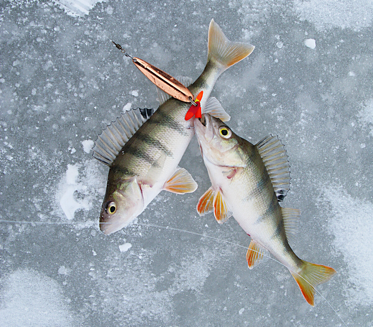 Балансиры для зимней рыбалки