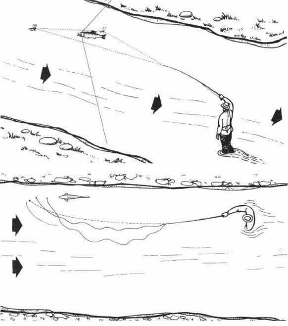 Выбор и применение спиннинга для ловли голавля в различных водоемах