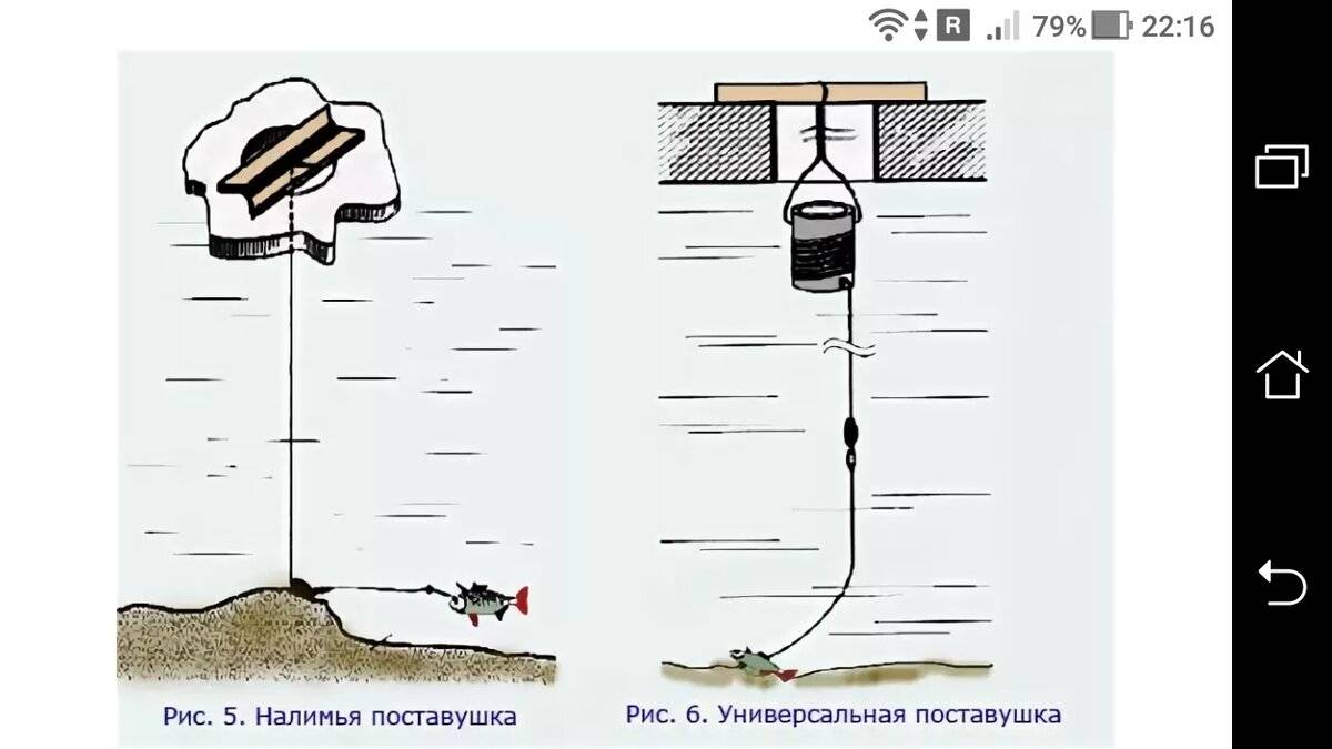 Штрафы за рыбалку 2020 от 2 до 5 тысяч рублей - должен знать каждый рыбак
