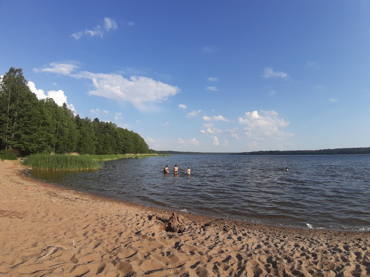 Липовское озеро в Ленинградской
