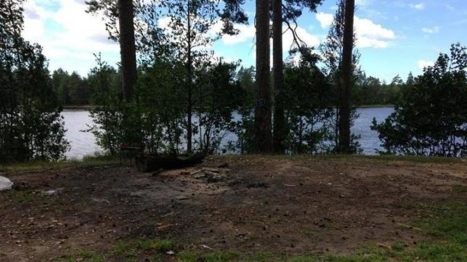 Где искупаться: озёра и пляжи в ленинградской области