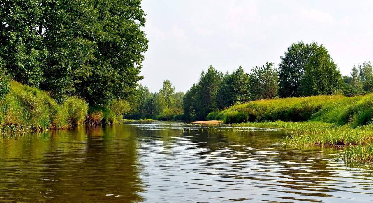 Река ока: куда впадает, характеристики, описание - gkd.ru