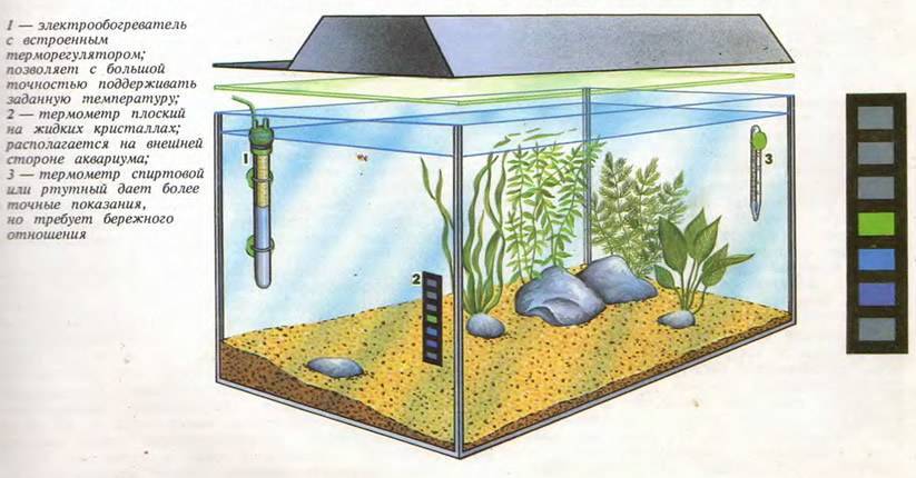 Температура воды в аквариуме для рыбок