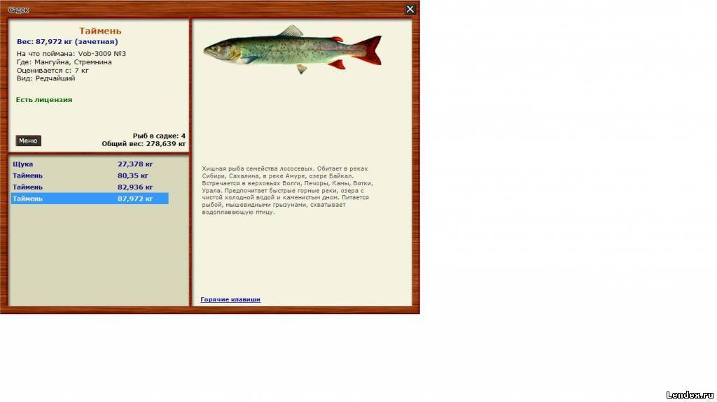 Ловля тайменя в сибири: описание рыбы, где ловить, выбор снастей и приманок