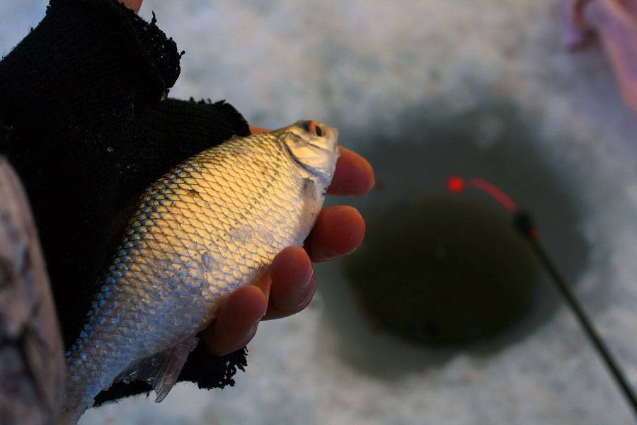 Мормышки для ловли плотвы зимой: лучшие модели для рыбалки, виды, как сделать