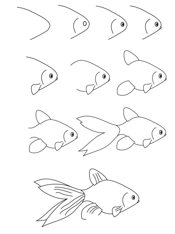 Как нарисовать рыбу карандашом поэтапно для начинающих?