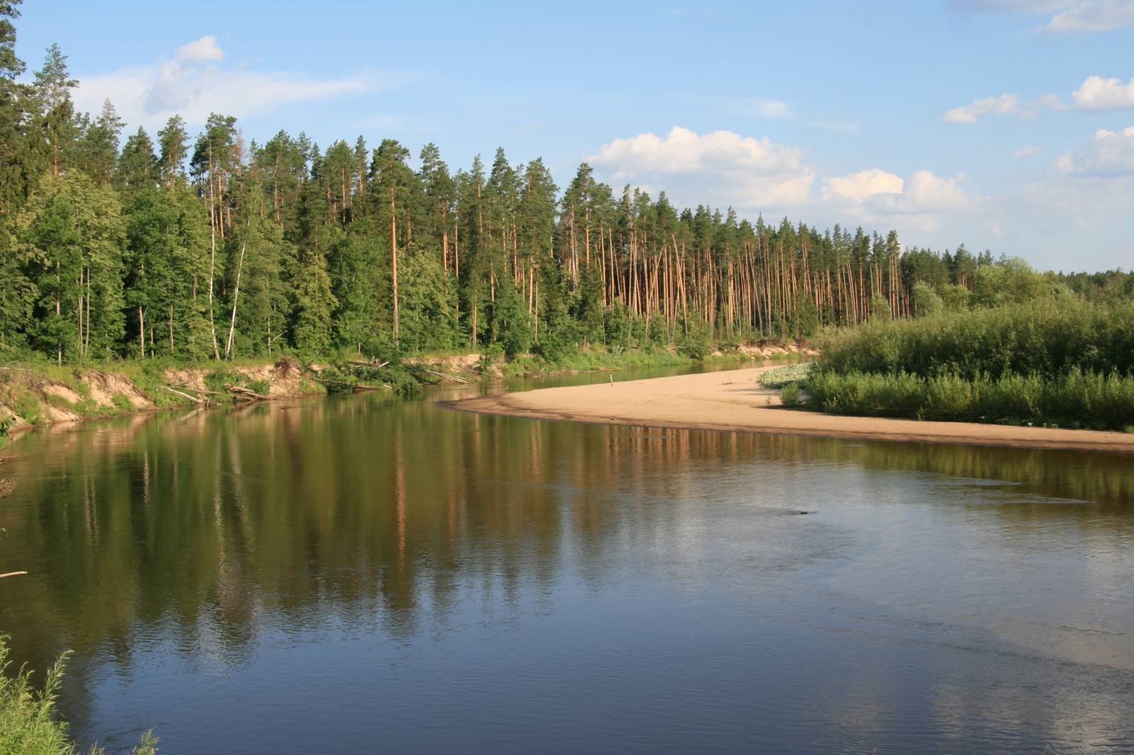 Большая кокшага фото