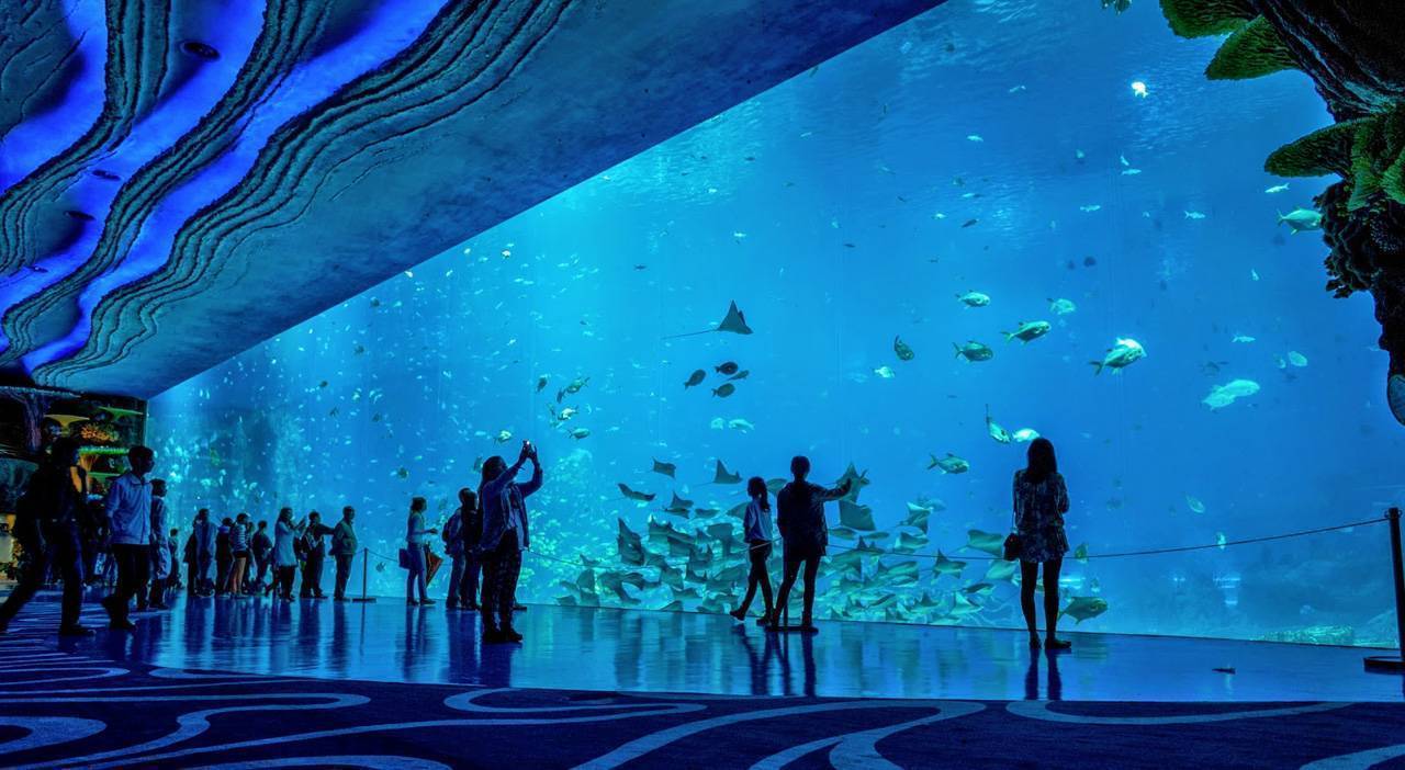 Океанариумы - большие аквариумы с акулами