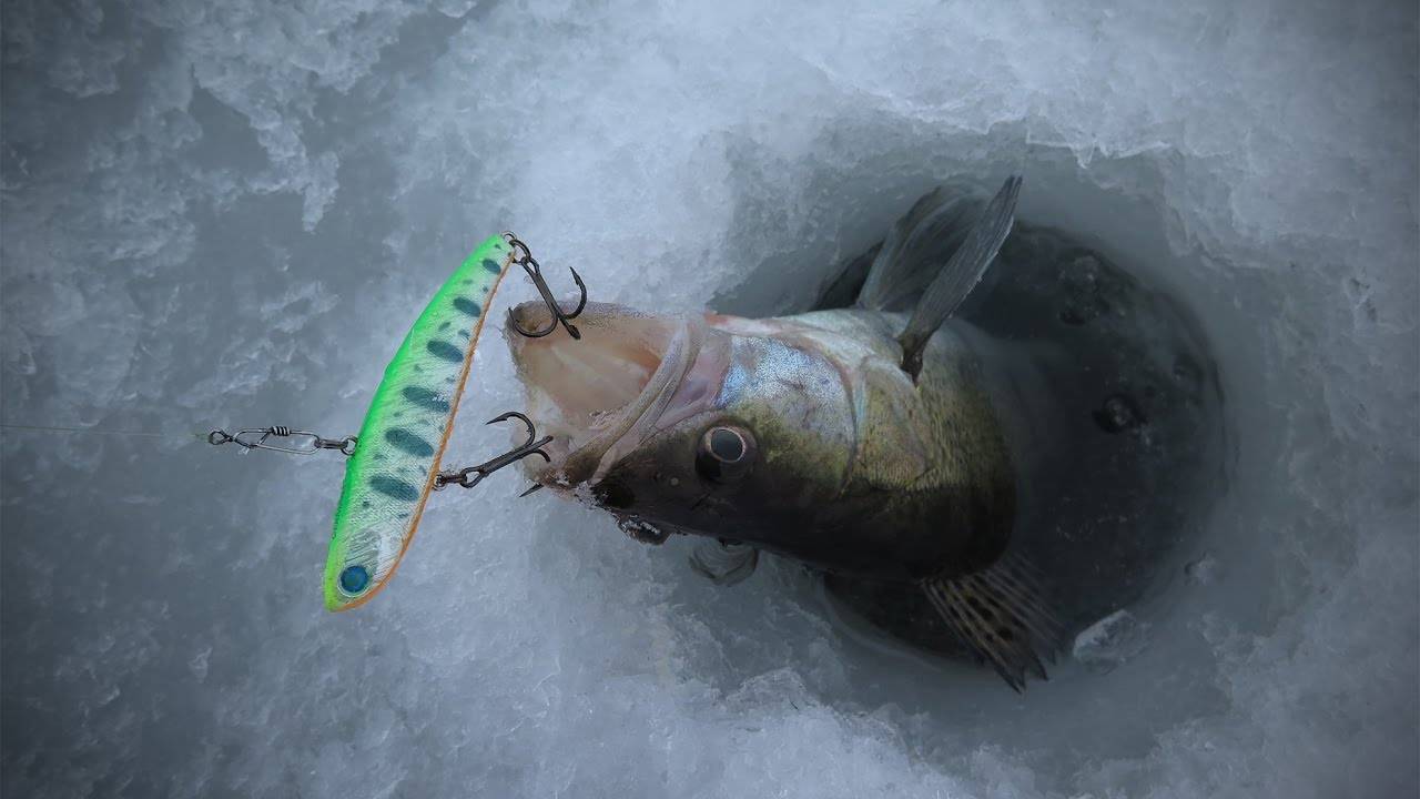 Раттлины для зимней рыбалки на судака, окуня, щуку