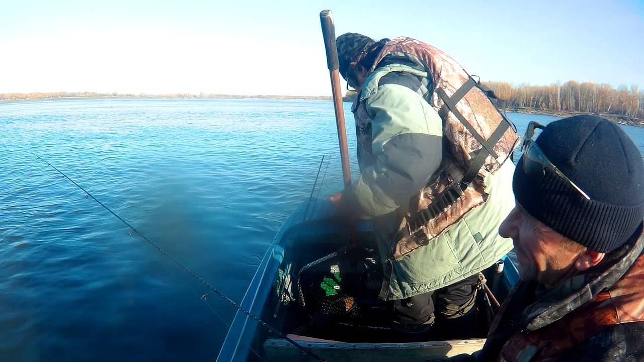 Рыбалка в томске: особенности, какая рыба водится, лучшие места для ловли