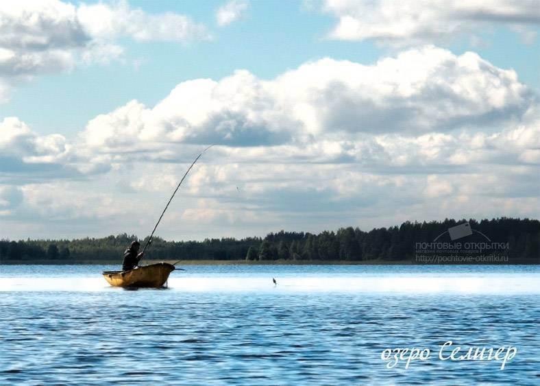 Озеро селигер рыбалка. Рыбы озера Селигер. Озеро Селигер Рыбак. Тверская область озеро Селигер рыба.