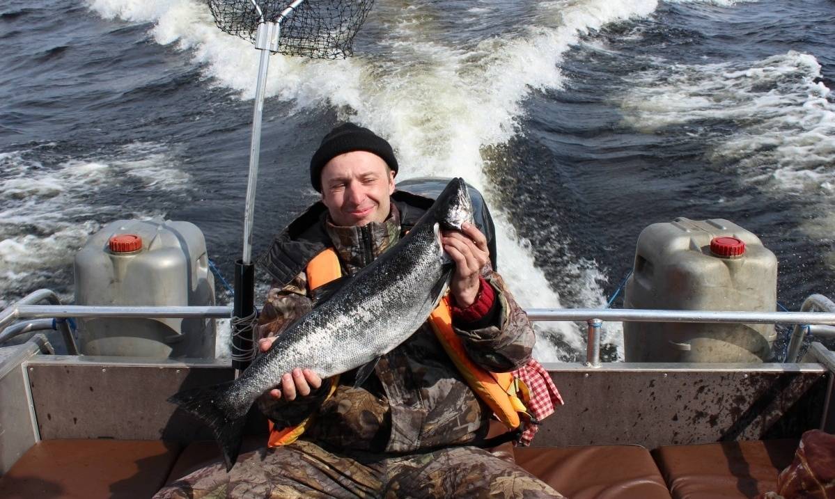 Онега рыба. Рыбы Онежского озера. База на Онеге.