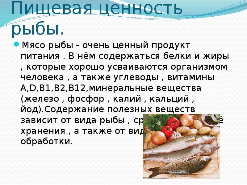 Навага: что за рыба, полезные свойства, как приготовить