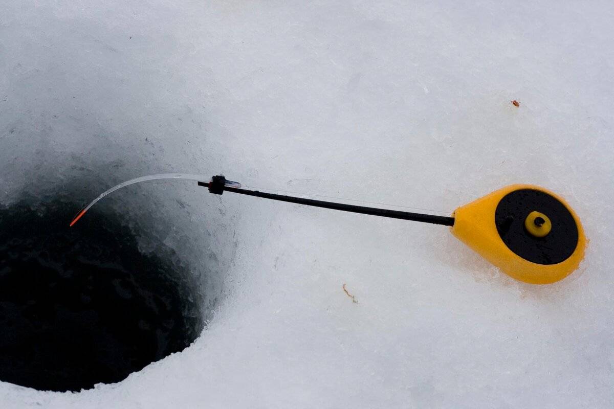 «балалайка» - или спортивная удочка для зимней ловли рыбы на мормышку | контент-платформа pandia.ru