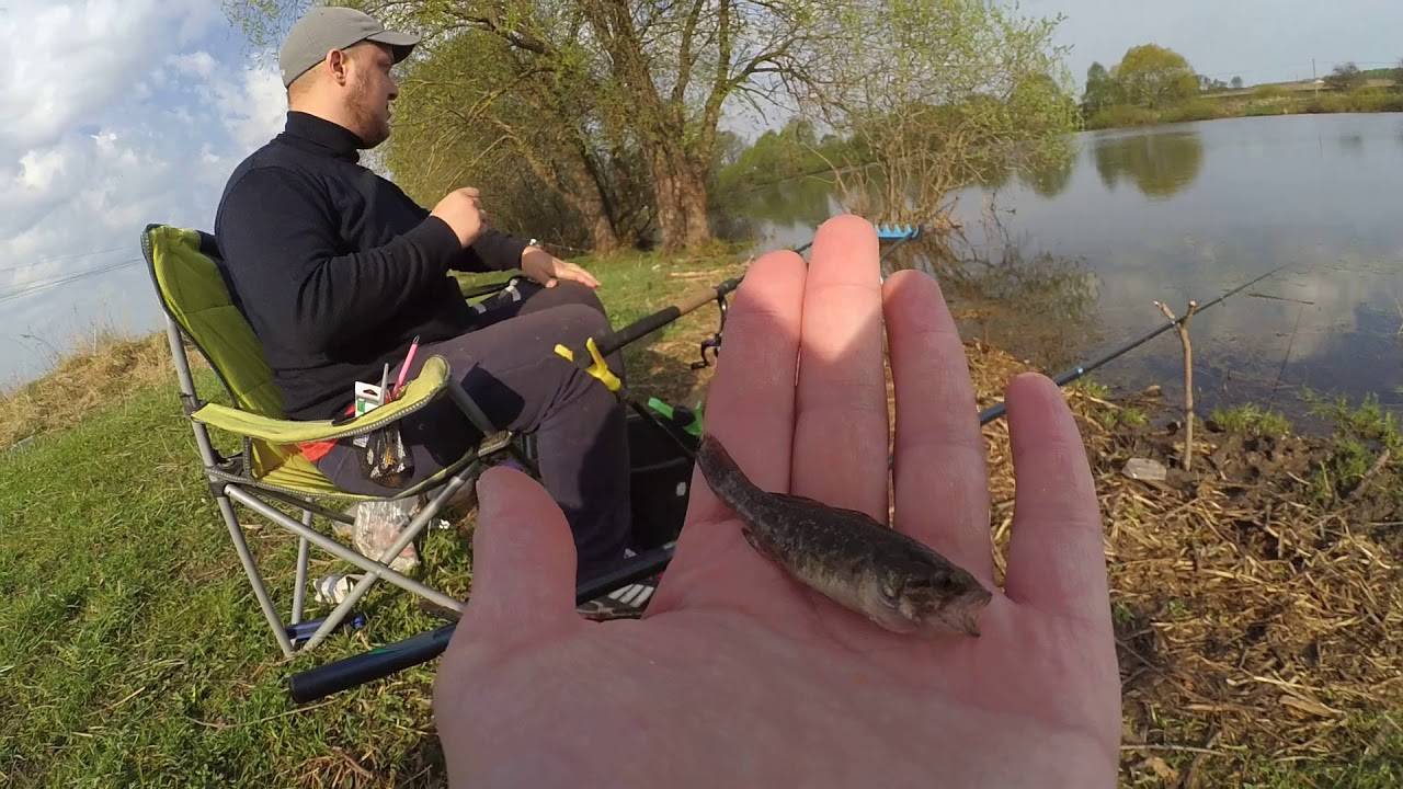 Видео рыбалка: смотреть онлайн ролики о ловле рыбы зимой и летом