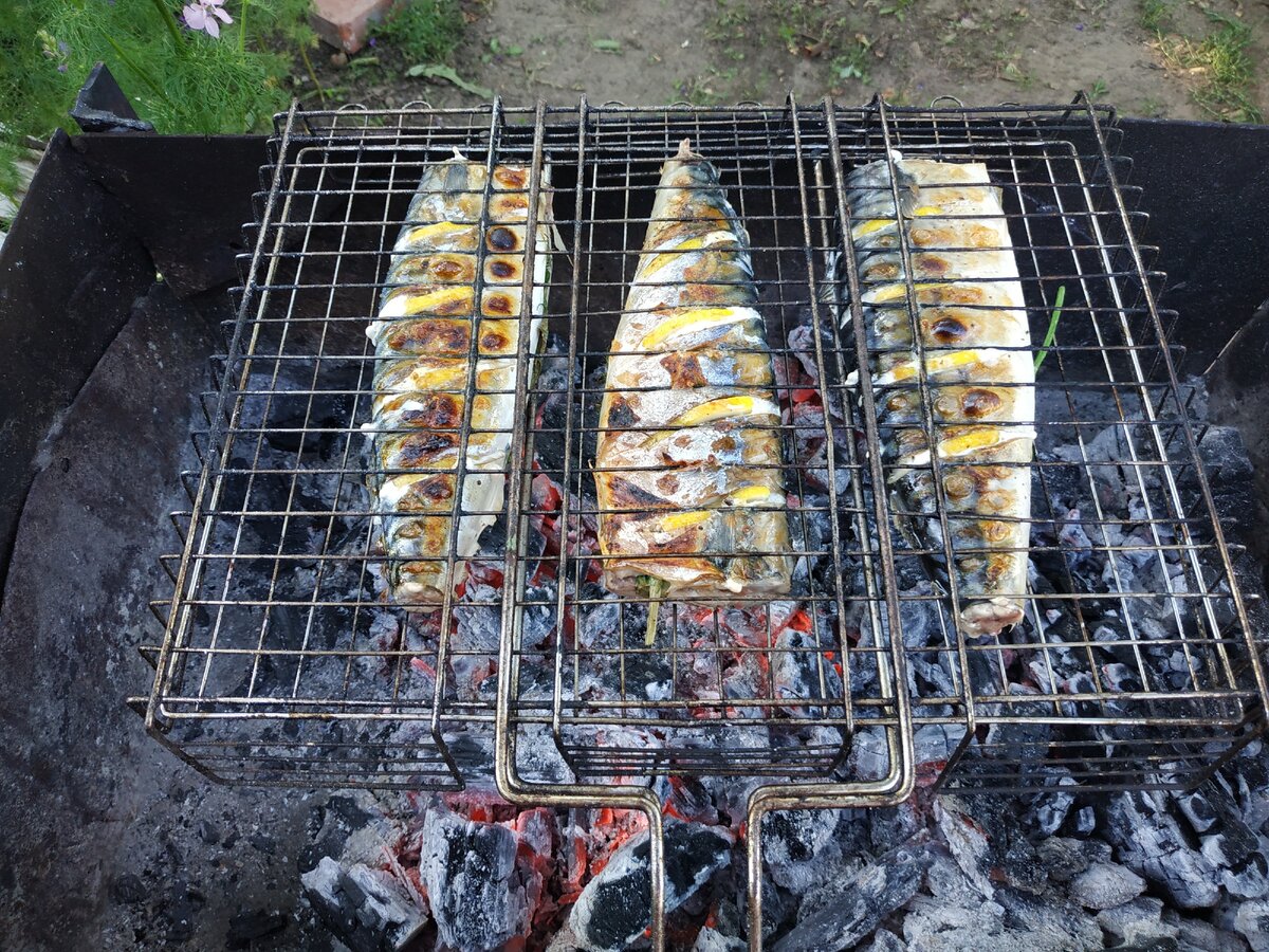 Скумбрия на мангале в фольге на решетке