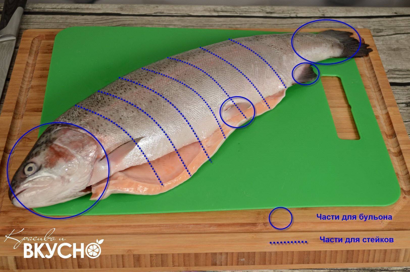 Схема разделки форели