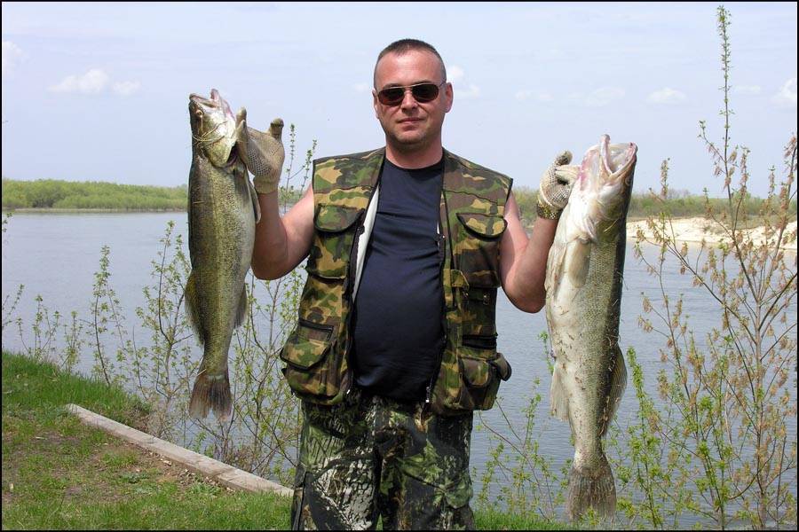 Рыболовные базы в ростове-на-дону и ростовской области: отдых с рыбалкой на маныче, другие недорогие турбазы с домиками