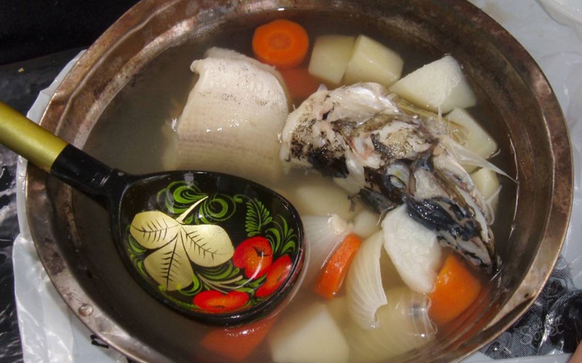 Вкусная уха из щуки в домашних условиях – как сварить рыбный суп из щуки, пошаговый рецепт с фото