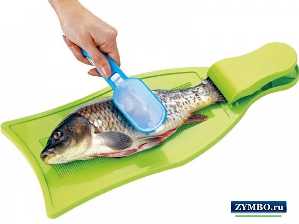 Нож для чисти рыбы от чешуи, классификация других приспособлений для очищения