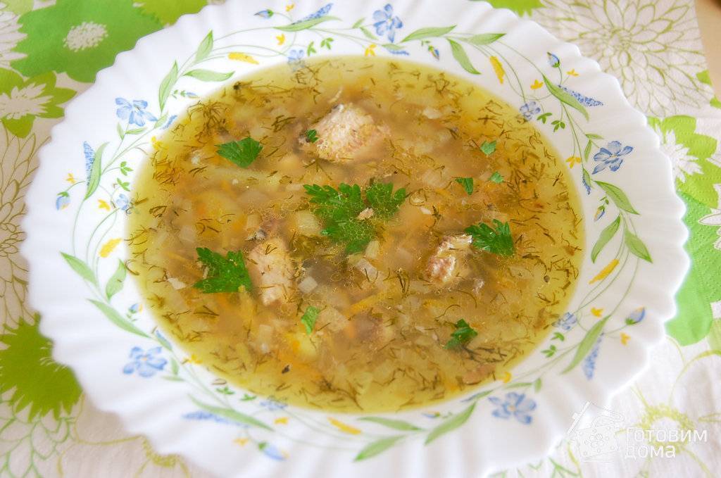 Суп из консервов (86 рецептов с фото) - рецепты с фотографиями на поварёнок.ру
