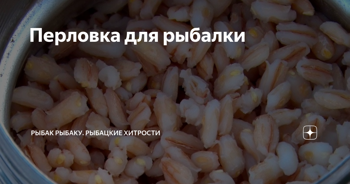 Перловка в термосе для рыбалки. Насадка перловка. Запарить перловку для рыбалки. Перловка с чесноком для рыбалки в термосе.