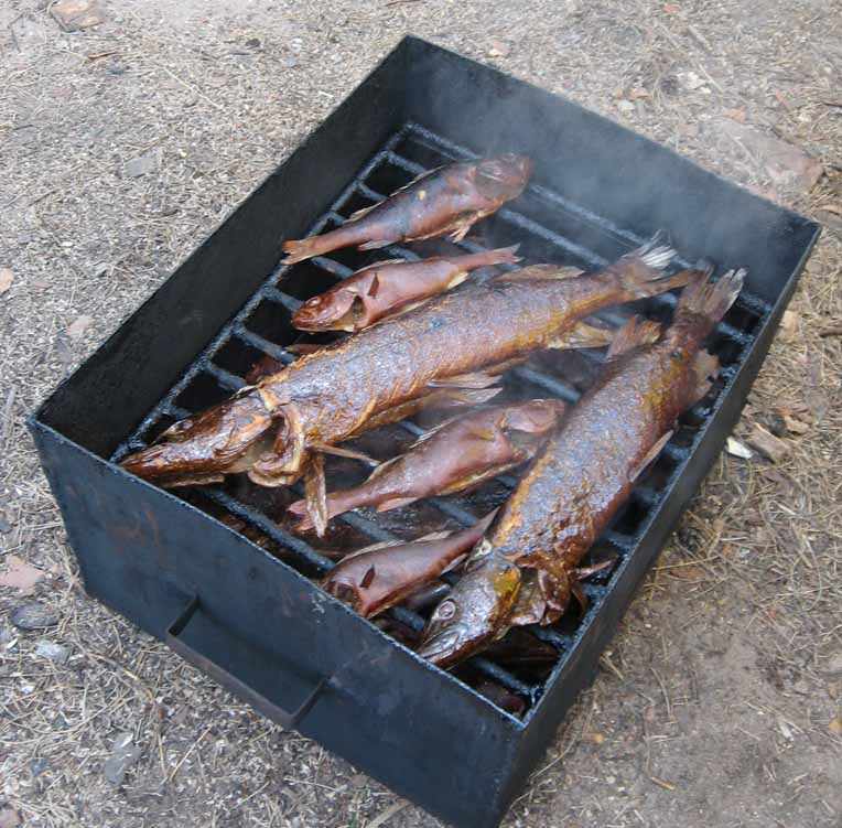 Коптильня для рыбы рецепт простой