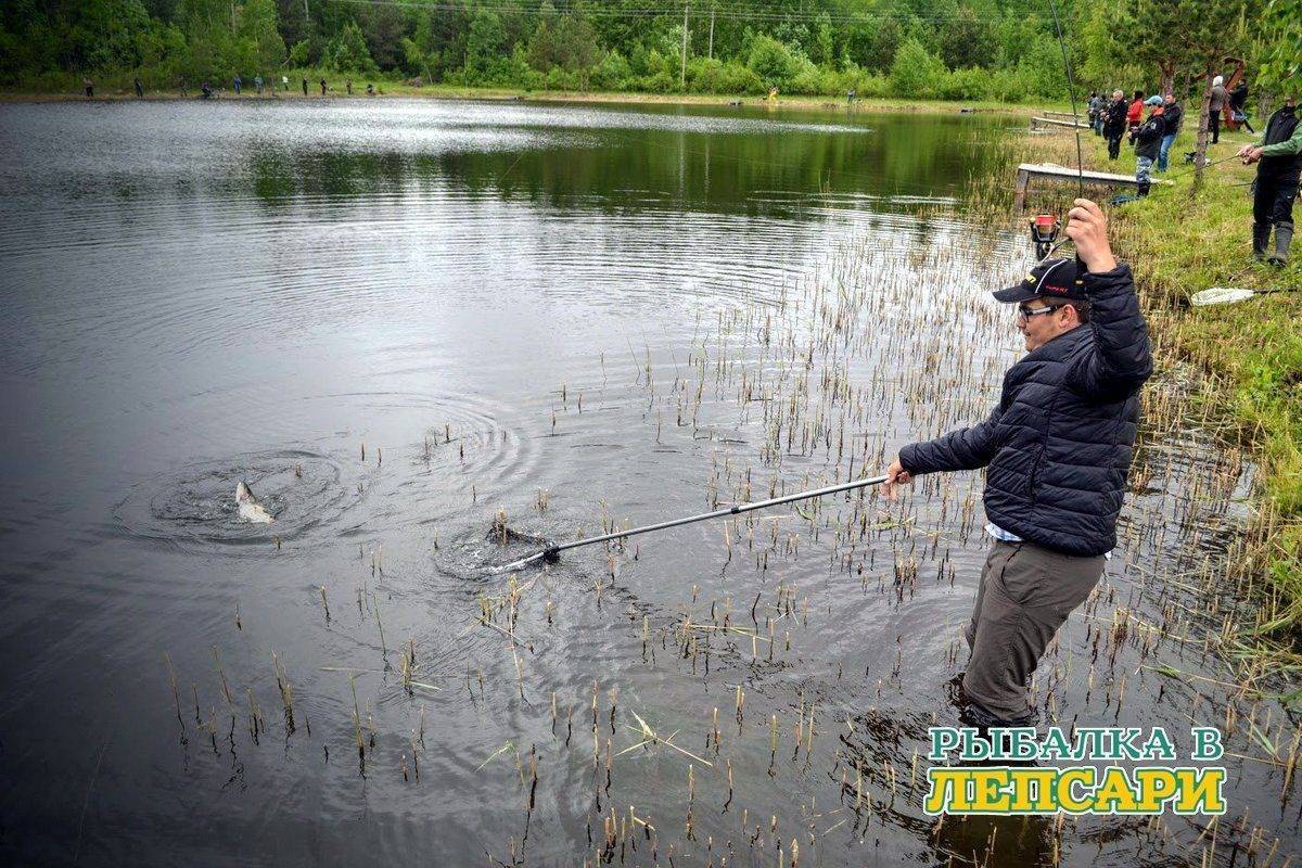 Рыбалка в новгородской области - читайте на сatcher.fish