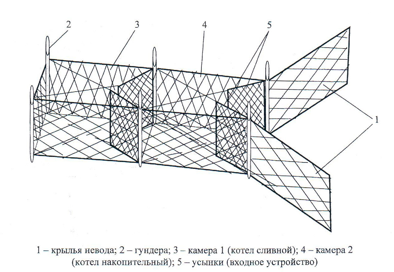 Чертежи ставного невода