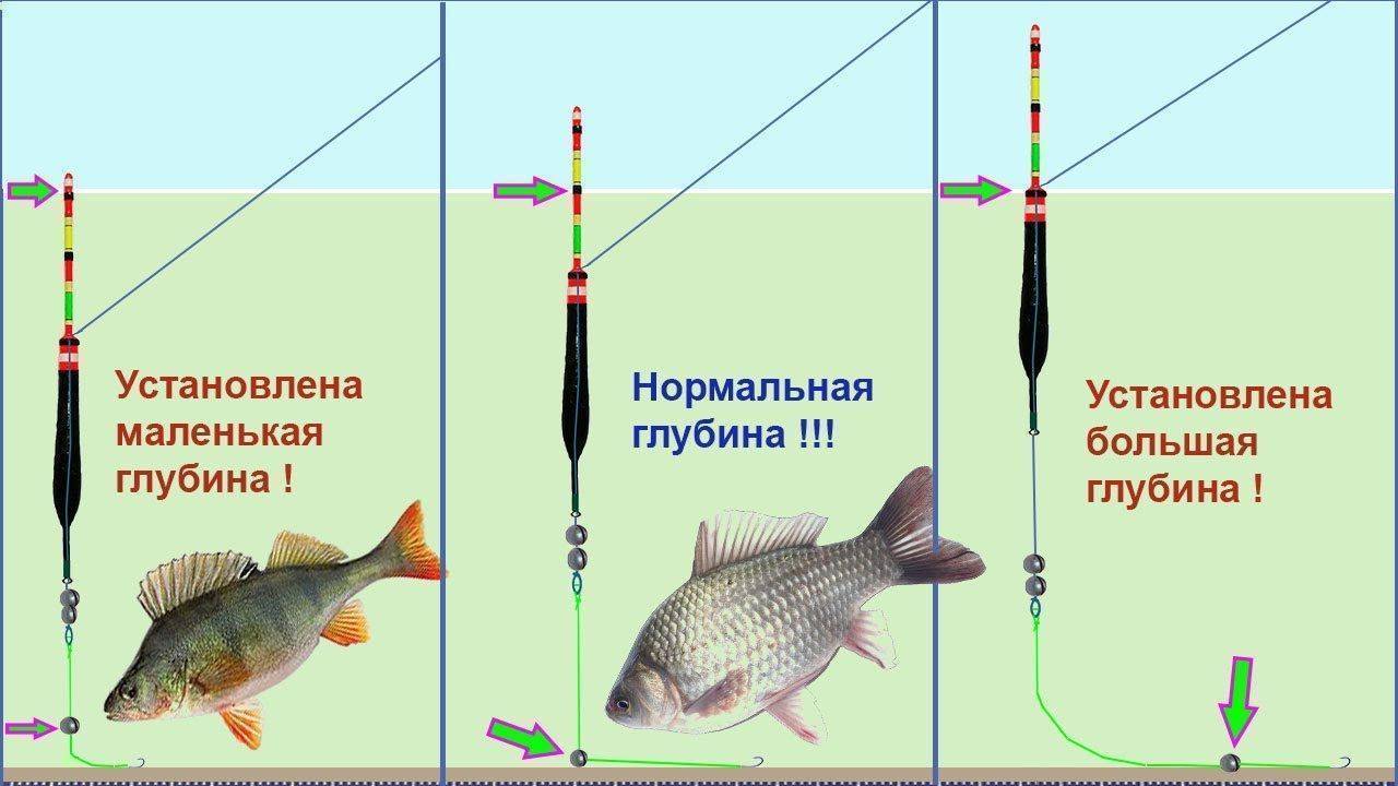 Как правильно насадить живца на одинарный крючок или капкан? - суперулов - интернет-портал о рыбалке