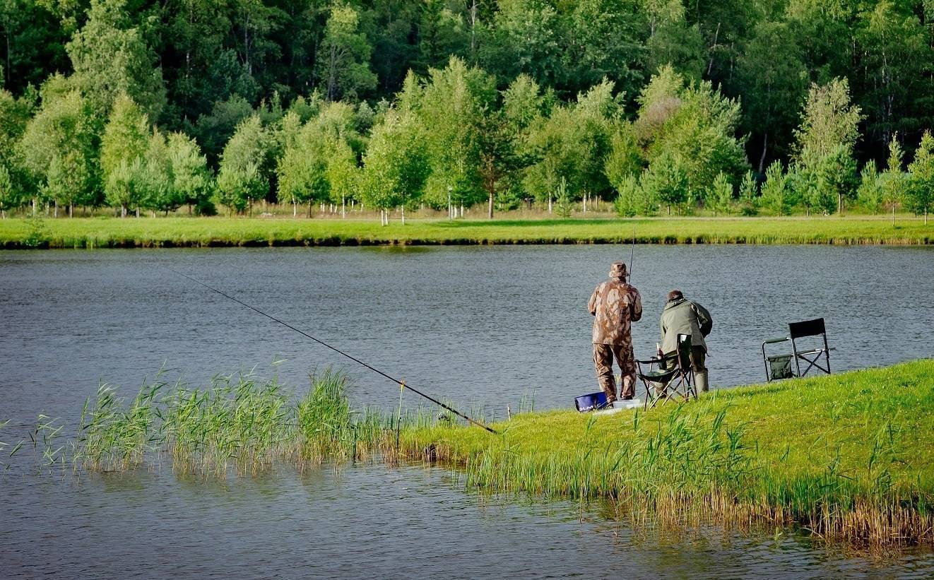 Рыбалка в коломне: лучшие рыболовные базы, рыбные места для ловли на оке