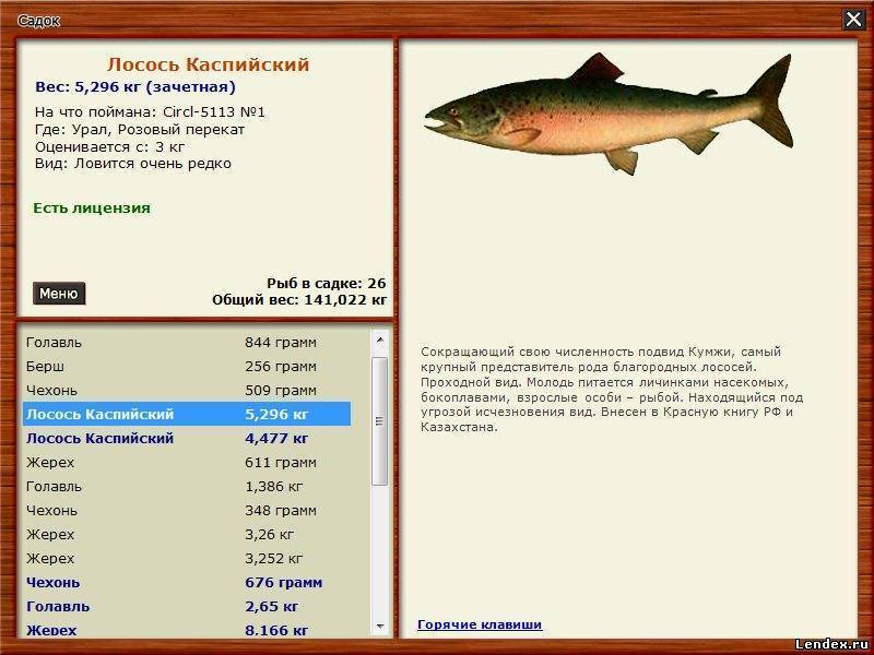 Все статьи о рыбалке в новосибирске и нсо