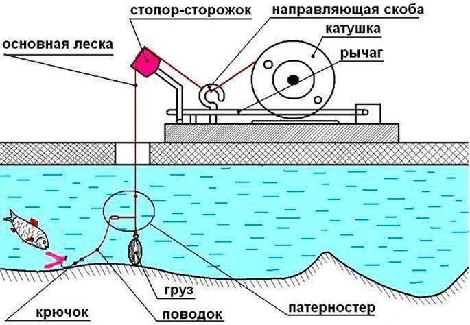 Камера для подводной съемки: принцип работы и критерии выбора, популярные модели и правила использования