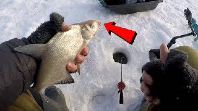 Рыбалка на леща зимой: где искать, чем и как ловить | советы рыбакам