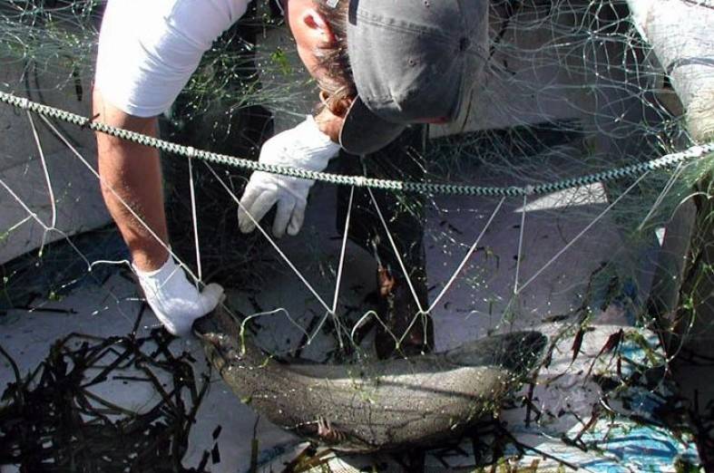 Как сделать посадку рыболовных сетей своими руками