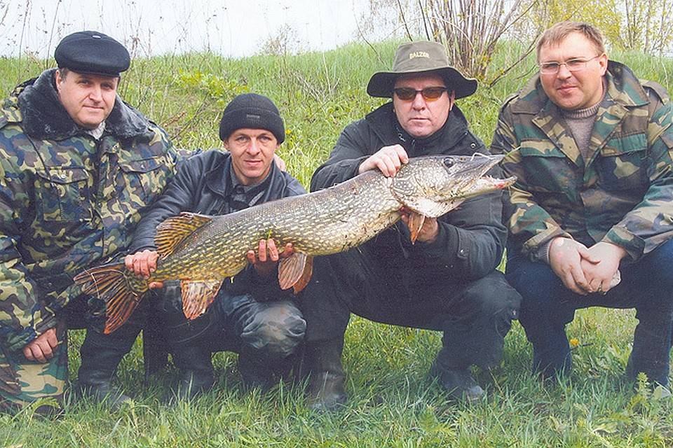 Рыбалка в липецкой области зимой — особенности ловли, рыбные места в липецке