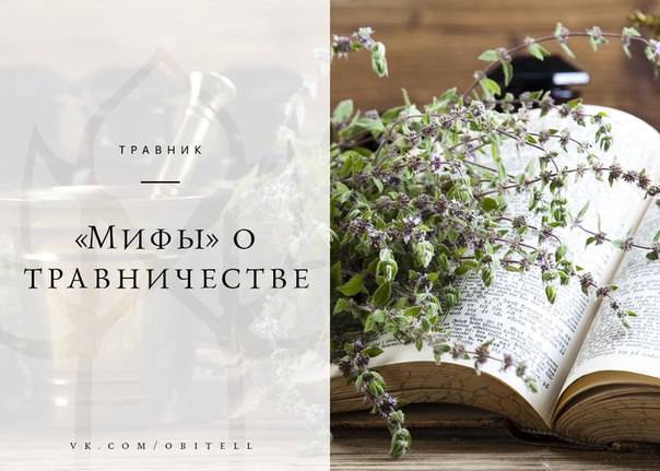 Аквариумные растения: виды, описание, фото, названия, искуственные, уход, правильный выбор, совместимость, болезни