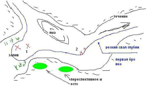 Какая рыба водится в москве-реке: виды, описание, фото