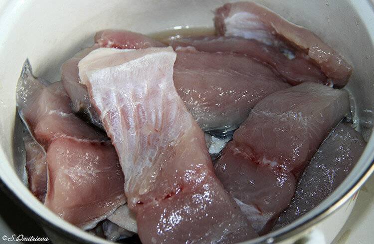 Рецепт маринованной рыбы в домашних условиях толстолобика