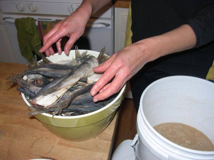 Вяленая рыба: как сушить в домашних условиях