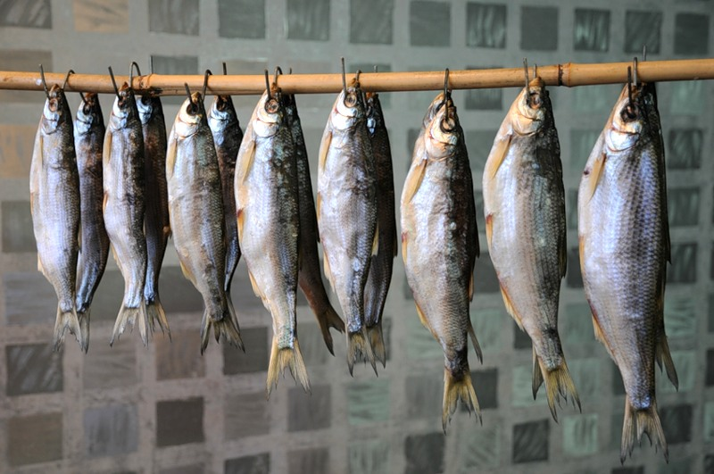 Как выглядит и где водится рыба шамайка? – суперулов – интернет-портал о рыбалке