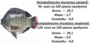 Чем полезен карп, свойства, фото и приготовление