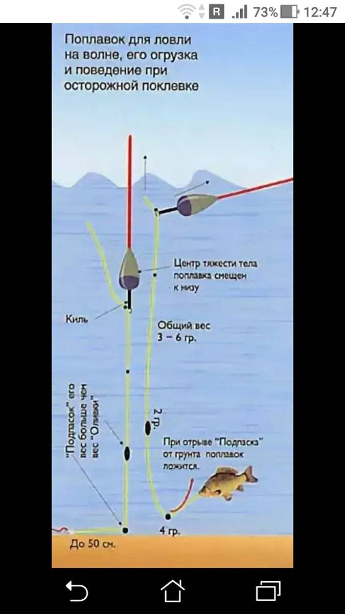 Поплавок грамм какой груз. Схема поплавочной снасти на карпа. Оснастка удочки с поплавком для ловли карпа. Карасиный поплавок для стоячей воды. Огруженный поплавок монтаж.