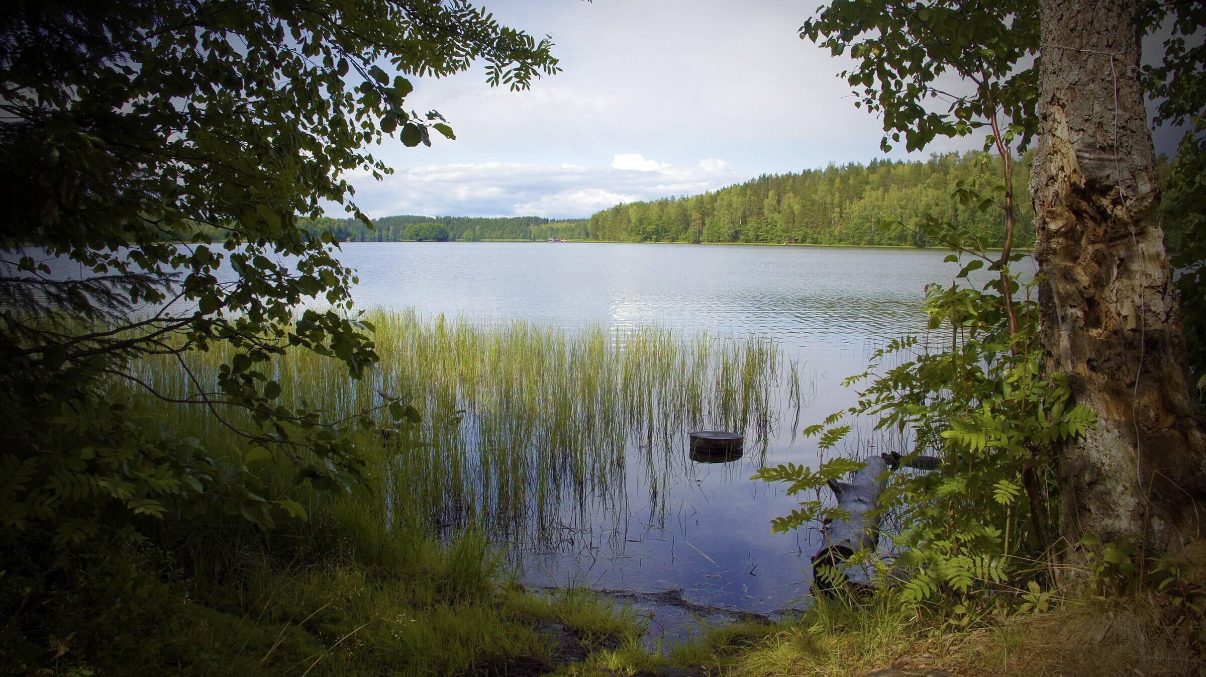 Лемболовское озеро. рыбалка 2020, отзывы, на карте, глубина, базы отдыха, фото, как добраться – туристер. ру