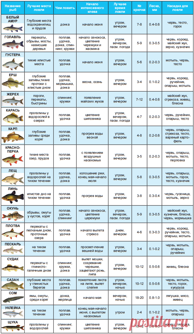 Особенности рыбалки в астрахани в октябре